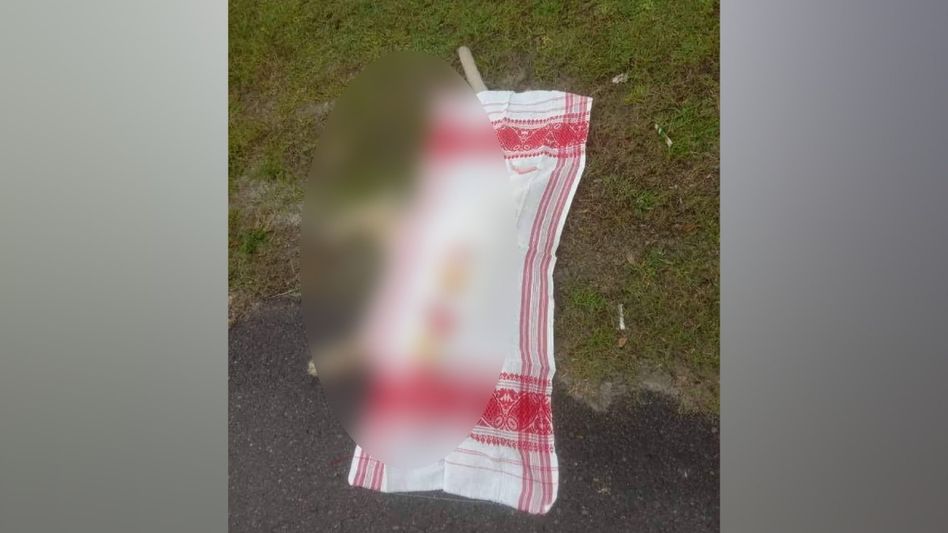 Assam: Golden Langur hit by speeding vehicle in Bongaigaon, dies Assam: Golden Langur hit by speeding vehicle in Bongaigaon, dies