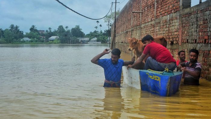 Photo by Tanmoy Chakraborty