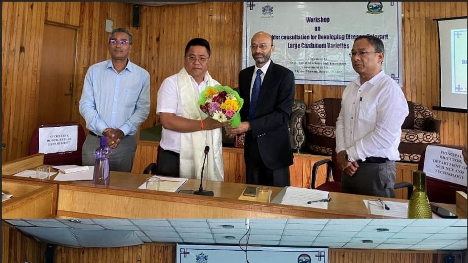 Sikkim focuses on developing disease-tolerant large cardamom varieties Sikkim focuses on developing disease-tolerant large cardamom varieties