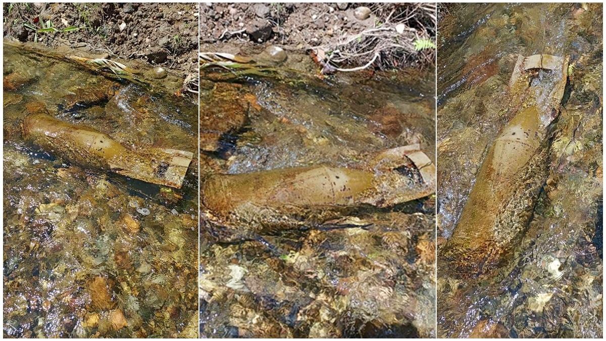 Six quintals of active bombs recovered on Assam-Arunachal border