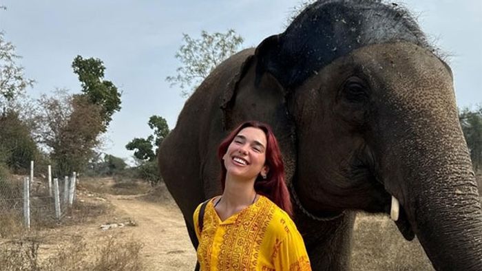 Dua Lipa set for India concert in November, shares excitement on social media