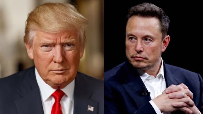 Trump eyes Elon Musk for cabinet role if re-elected, hints at AI focus