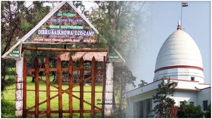 Assam: Gauhati High Court asks centre to explain rejection of drilling proposal in Dibru-Saikhowa