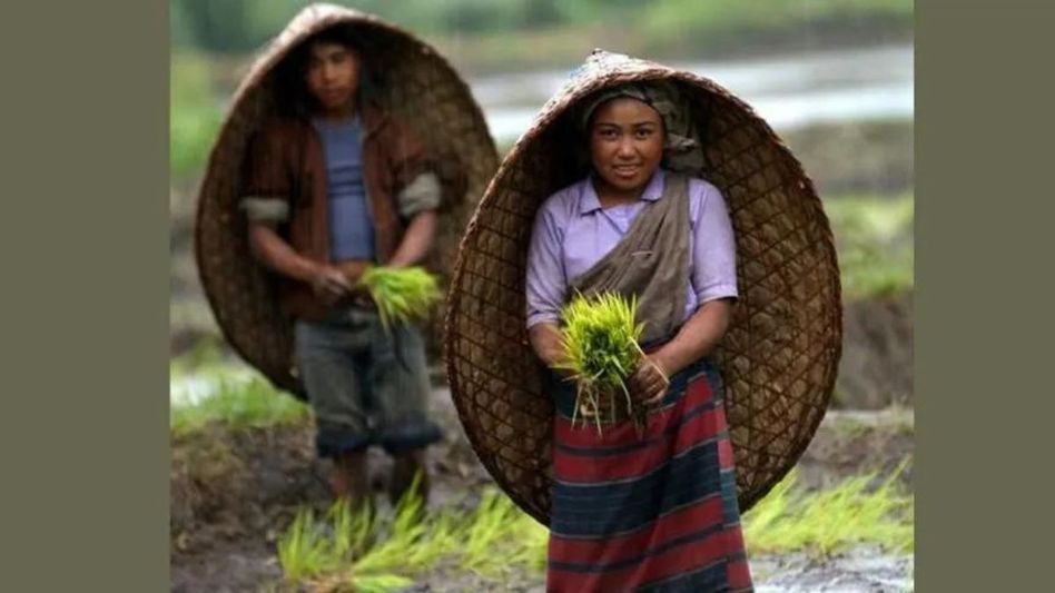 Meghalaya allocates Rs 100 crore to support farmers under Focus Scheme Meghalaya allocates Rs 100 crore to support farmers under Focus Scheme