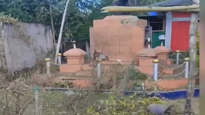 COCOMI demands resignation of Manipur Security Advisor over ongoing crisis