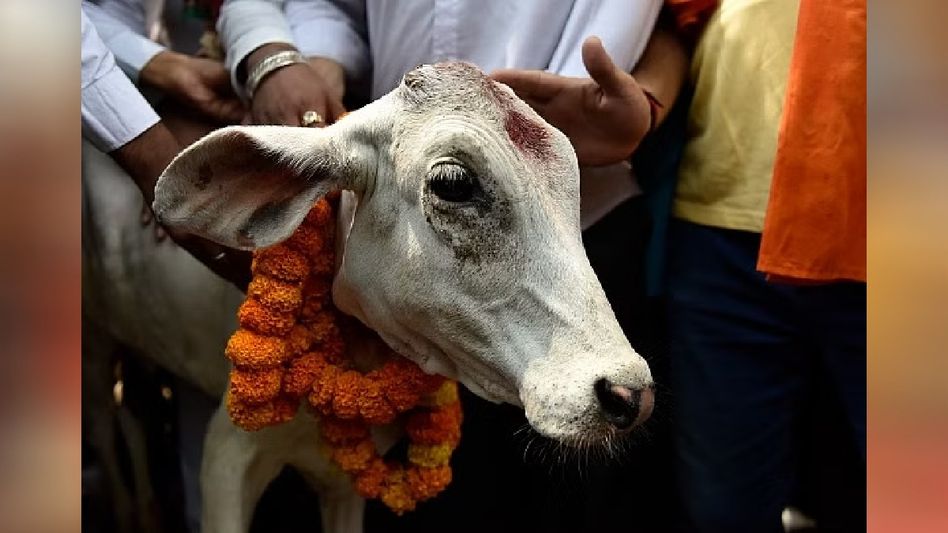Jagadguru Shankaracharya Maharaj to visit Itanagar, to advocate for recognition of cow as 'Rashtra Mata' Jagadguru Shankaracharya Maharaj to visit Itanagar, to advocate for recognition of cow as 'Rashtra Mata'
