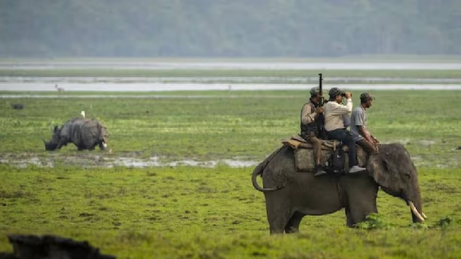 Assam's Kaziranga National Park to reopen for tourists on October 1 Assam's Kaziranga National Park to reopen for tourists on October 1