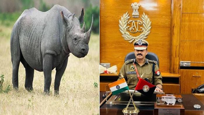 Assam DGP GP Singh: Key takeaway for me is the vigorous fight against rhino poaching