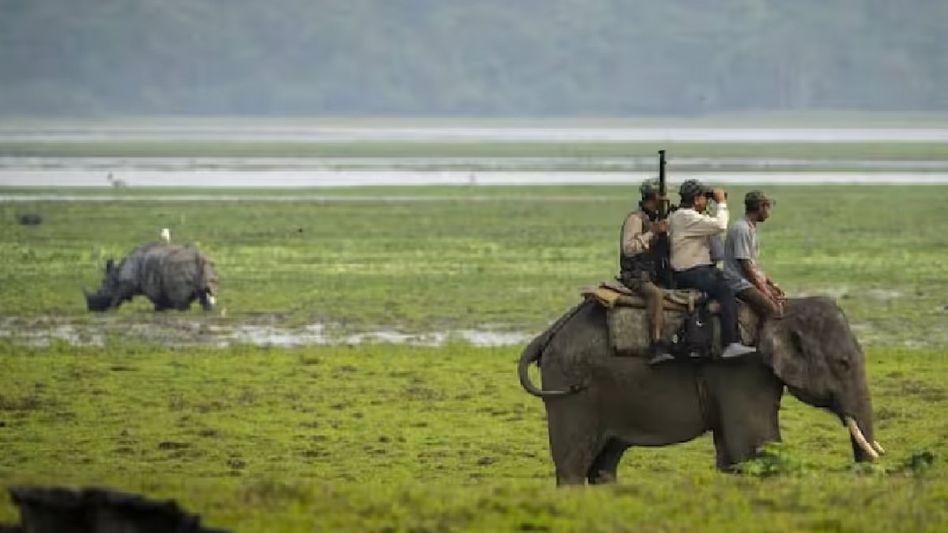 Assam's Kaziranga National Park gypsy safari drivers, mahouts to get training for visitor safety Assam's Kaziranga National Park gypsy safari drivers, mahouts to get training for visitor safety