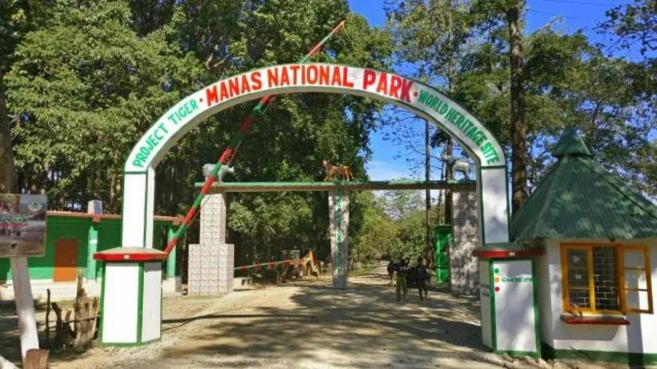 Assam: Manas National Park reopens on September 27 Assam: Manas National Park reopens on September 27