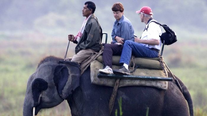 Assam anticipates surge in tourist footfall for 2024-25 season