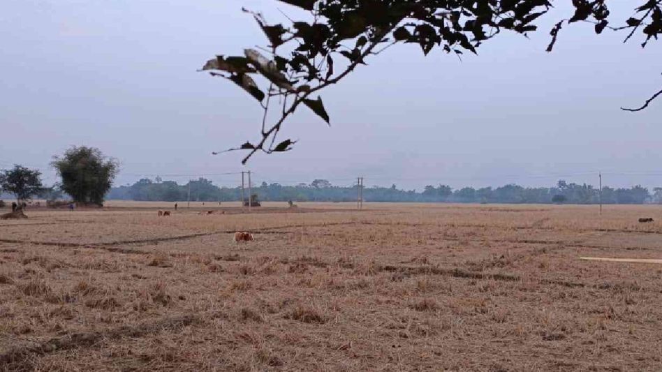 Assam farmers face drought and irrigation woes amidst soaring temperatures Assam farmers face drought and irrigation woes amidst soaring temperatures