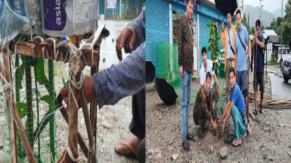 Plantation drive held at Mebo Char-ali with new model of plant watering by using creative ideas Plantation drive held at Mebo Char-ali with new model of plant watering by using creative ideas