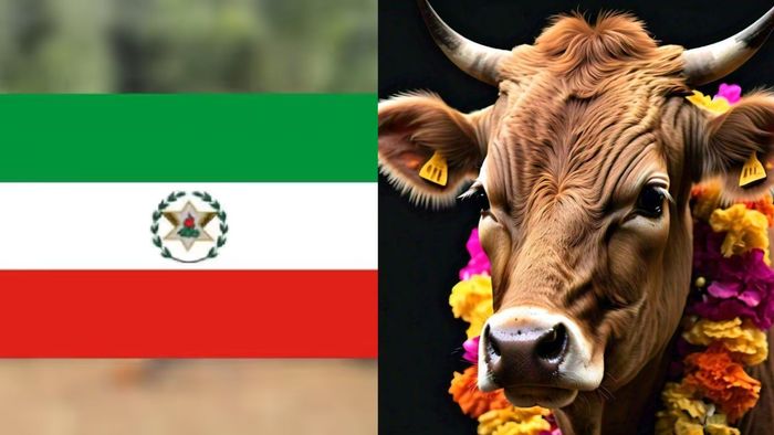 HNLC calls for resistance against 'Cow Yatra' in Meghalaya