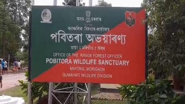 Assam biker killed in rhino attack near Pobitora Wildlife Sanctuary