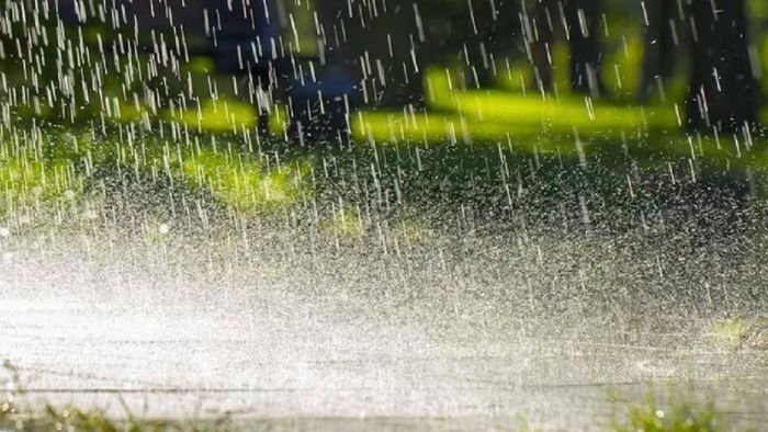 Heavy rain disrupts women's cricket tournament in Northeast India