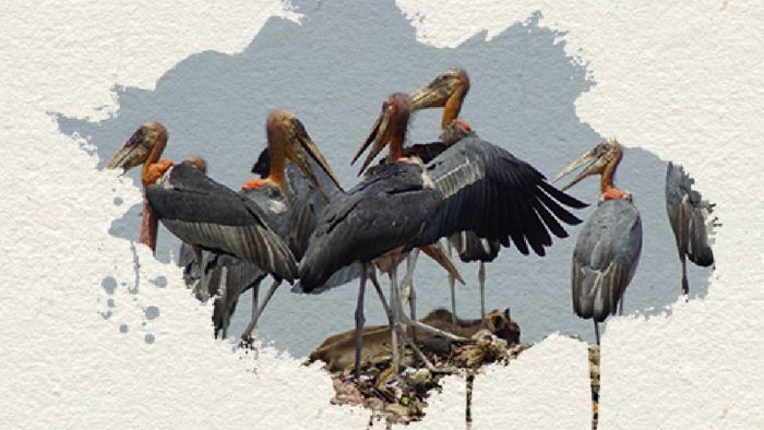 NTPC partners with Assam Forest Department to celebrate Wildlife Week