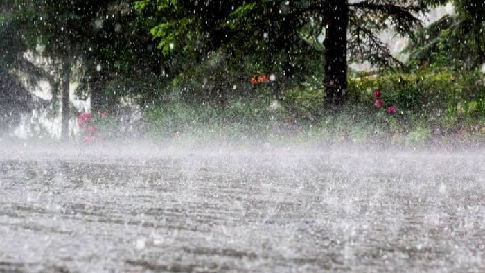Heavy rainfall forecasted for Arunachal and Northeastern region