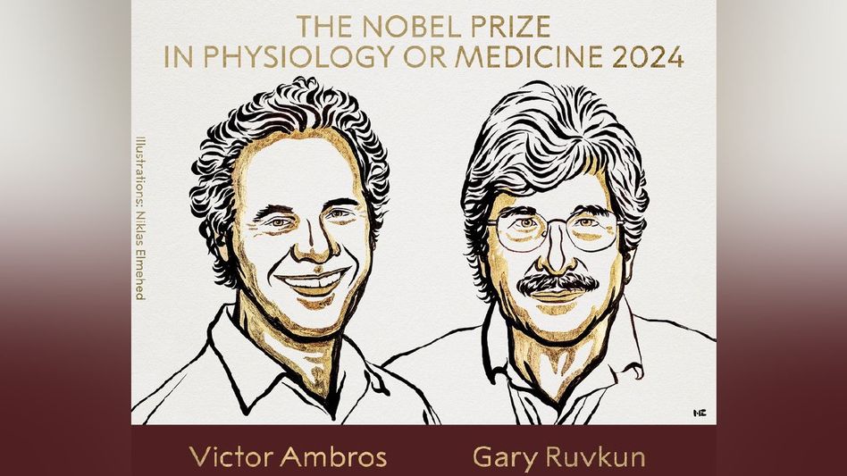 Nobel Prize 2024 in Medicine awarded to Victor Ambros and Gary Ruvkun for mRNA discovery Nobel Prize 2024 in Medicine awarded to Victor Ambros and Gary Ruvkun for mRNA discovery