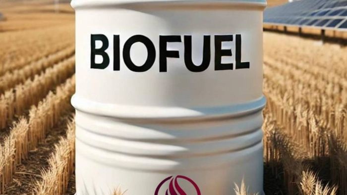 Biofuel initiative launched in Northeast for a greener tomorrow