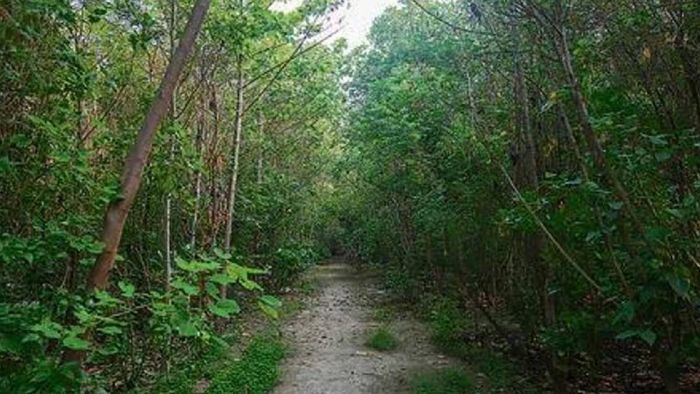 Assam's commando camp in Geleky forest found in violation of environmental laws