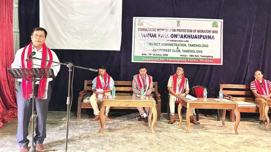 Manipur: Tamenglong workshop spotlights Amur Falcon protection efforts Manipur: Tamenglong workshop spotlights Amur Falcon protection efforts