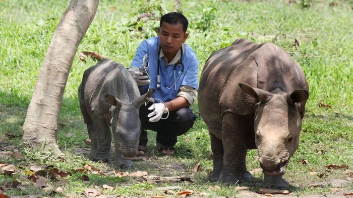 Assam's Dr. Panjit Basumatary honored with Animal Welfare Award in London