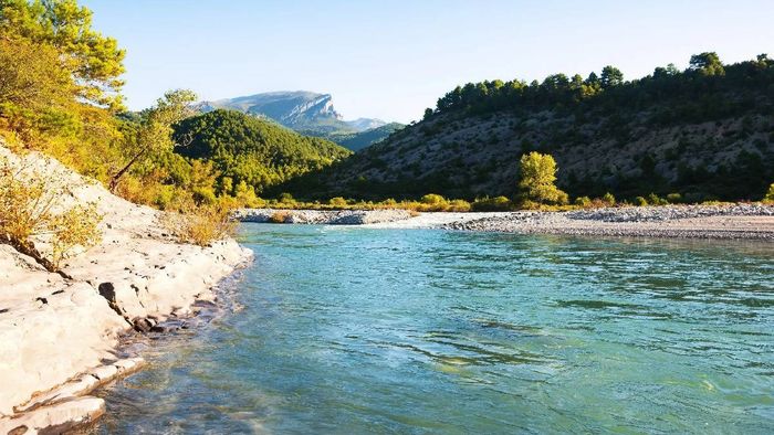 Arunachal: IAF havildar and son swept away in Kameng river, rescue operations underway