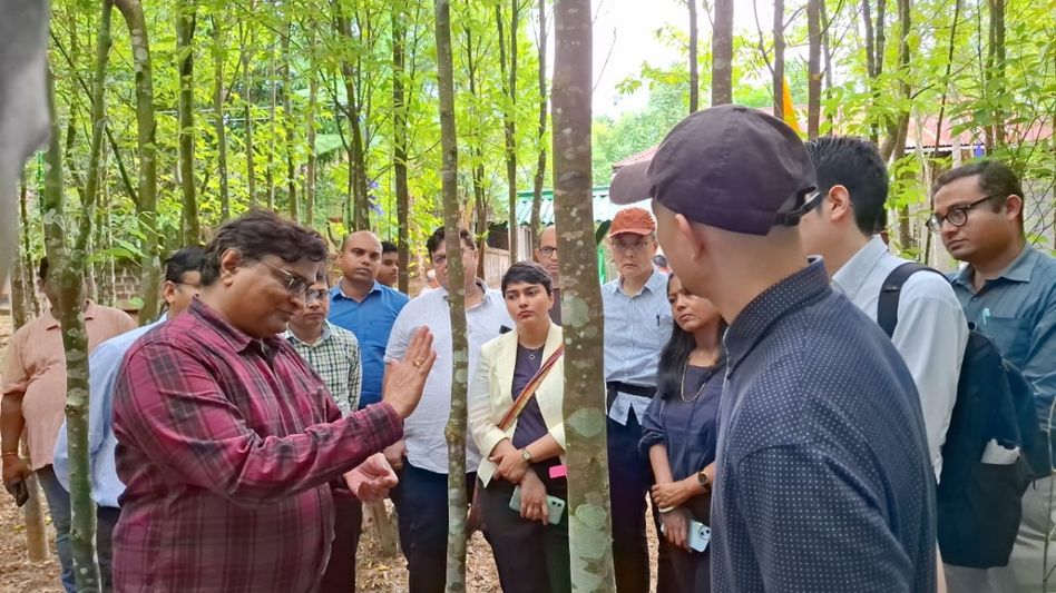 Tripura: JICA India Mission delegation inspects agar plantation, processing unit in state Tripura: JICA India Mission delegation inspects agar plantation, processing unit in state