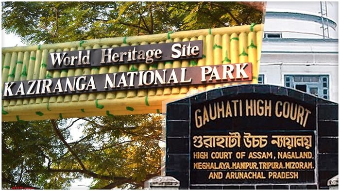 Assam: PIL filed in Gauhati High Court demanding eco sensitive zone for Kaziranga National Park
