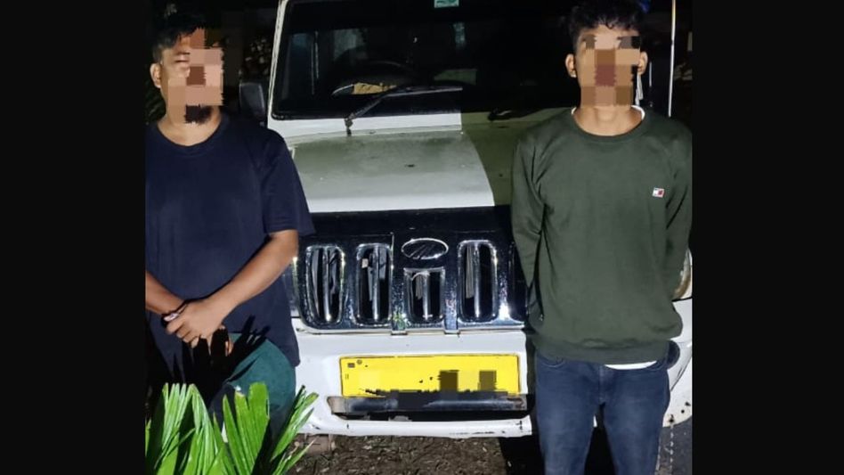 Meghalaya BSF seizes cattle, garlic worth Rs 6 lakh, apprehends 3 smugglers near Indo-Bangla border Meghalaya BSF seizes cattle, garlic worth Rs 6 lakh, apprehends 3 smugglers near Indo-Bangla border