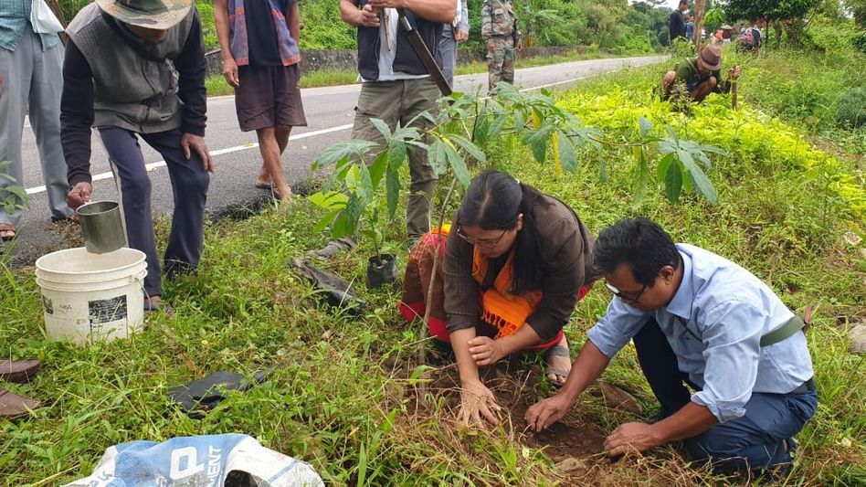 Arunachal's Mebo administration launches 'Si:lek' mission to plant 25 local saplings along National Highway Arunachal's Mebo administration launches 'Si:lek' mission to plant 25 local saplings along National Highway