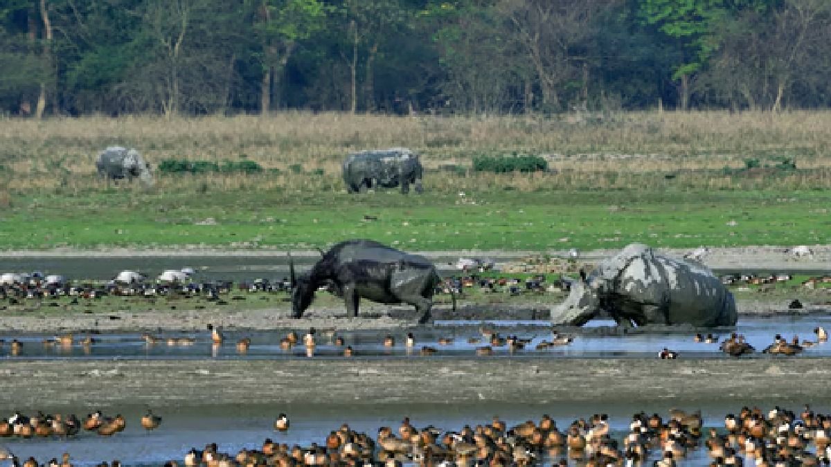 India ranks among worst in global Nature Conservation Index 2024 India ranks among worst in global Nature Conservation Index 2024
