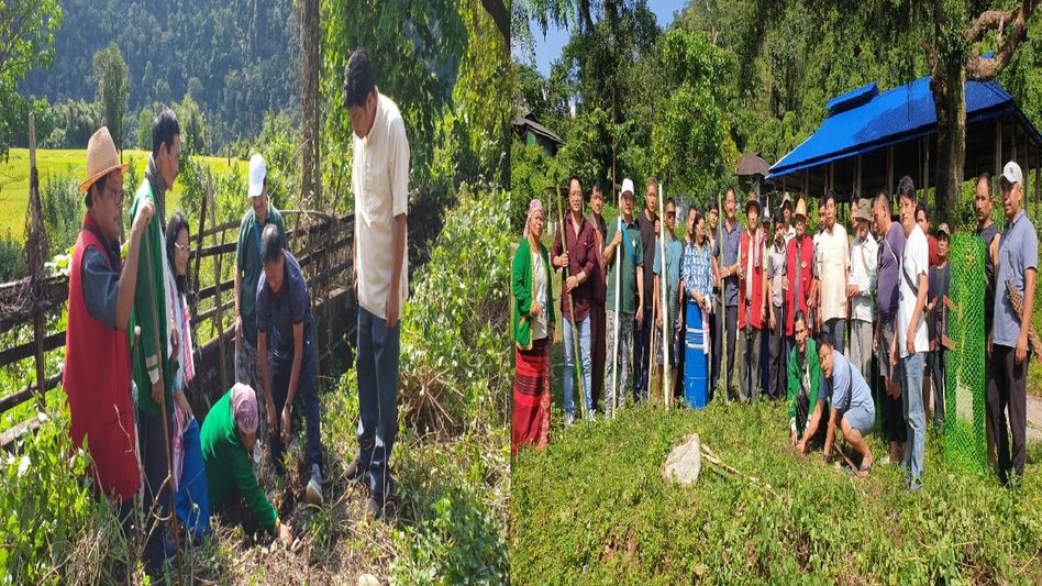 Manipur police destroy massive cache of narcotics in Imphal West Manipur police destroy massive cache of narcotics in Imphal West