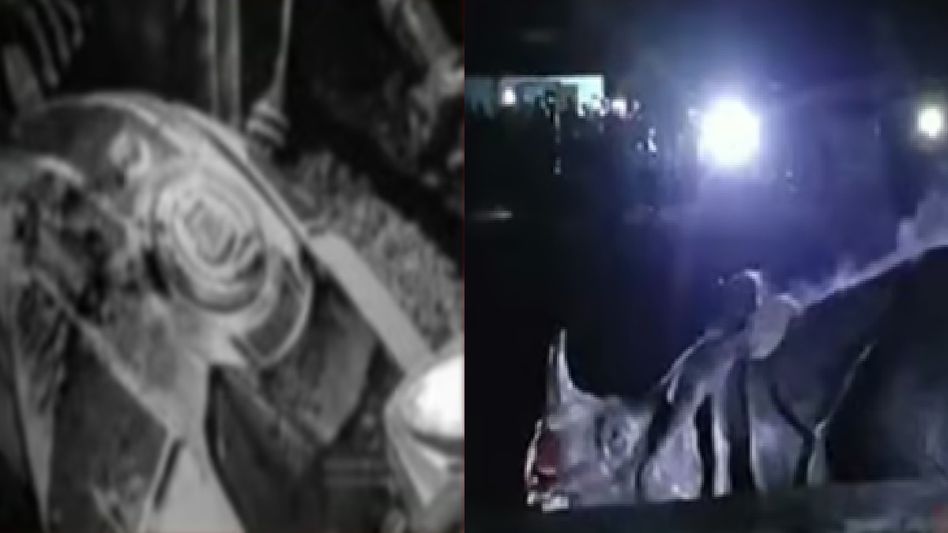 Assam: Stray rhino enters Madrasa premises in Biswanath, cause panic among residents Assam: Stray rhino enters Madrasa premises in Biswanath, cause panic among residents