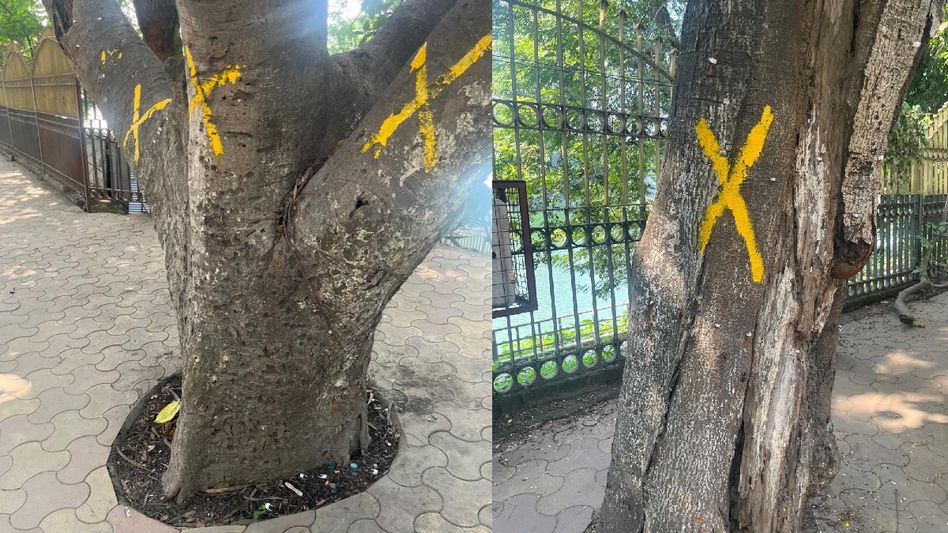 Guwahati citizens protest against felling of trees for flyover, demand preservation of Dighalipukhuri's heritage Guwahati citizens protest against felling of trees for flyover, demand preservation of Dighalipukhuri's heritage
