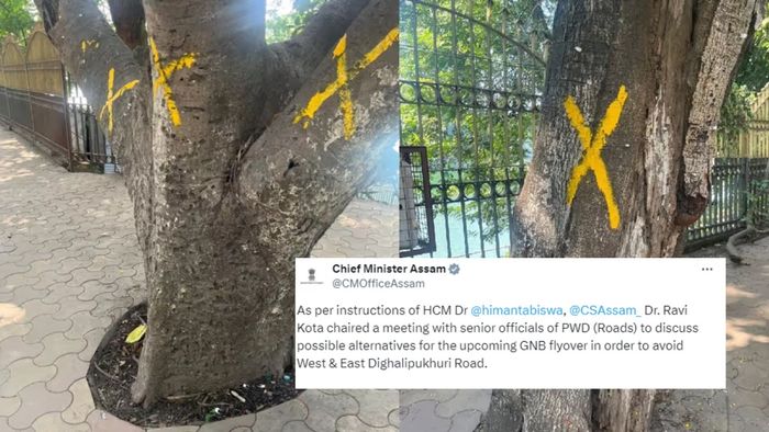 Assam explores alternatives for GNB Flyover to preserve heritage trees in Dighalipukhuri