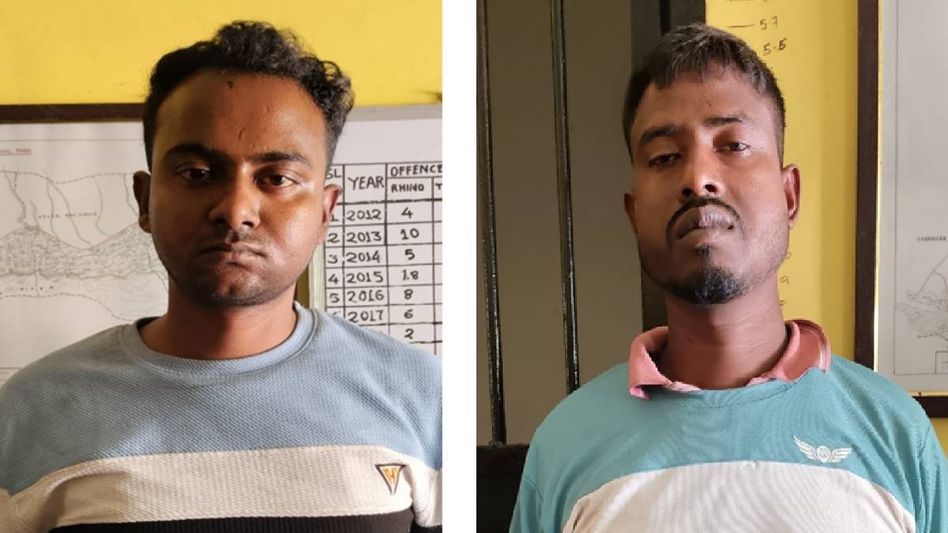 Assam: Rhino poaching plan thwarted in Kaziranga, two arrested Assam: Rhino poaching plan thwarted in Kaziranga, two arrested