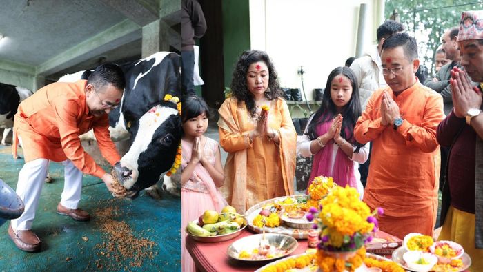 Sikkim CM performs traditional Gau Mata worship during Lakshmi Puja