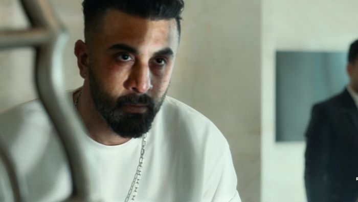 T-Series Unveils New Sequels: Animal Park, Raid 2, and More to Expand Bollywood Franchise