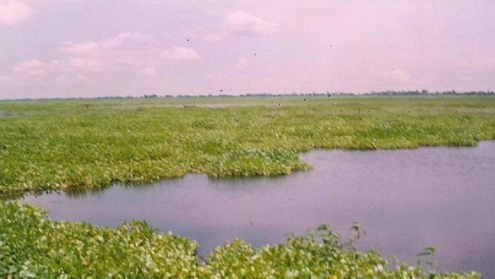 Centre directs Assam to develop wetlands restoration report to tackle flood control