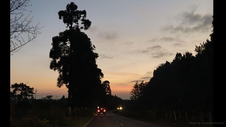 Meghalaya HC mandates afforestation plan for Rilbong-to-Mylliem highway project Meghalaya HC mandates afforestation plan for Rilbong-to-Mylliem highway project