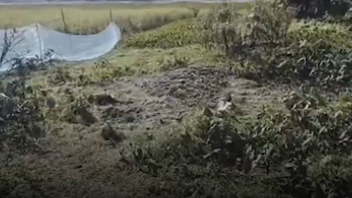 Assam authorities exhume body of Hindu woman buried by family over cremation costs Assam authorities exhume body of Hindu woman buried by family over cremation costs