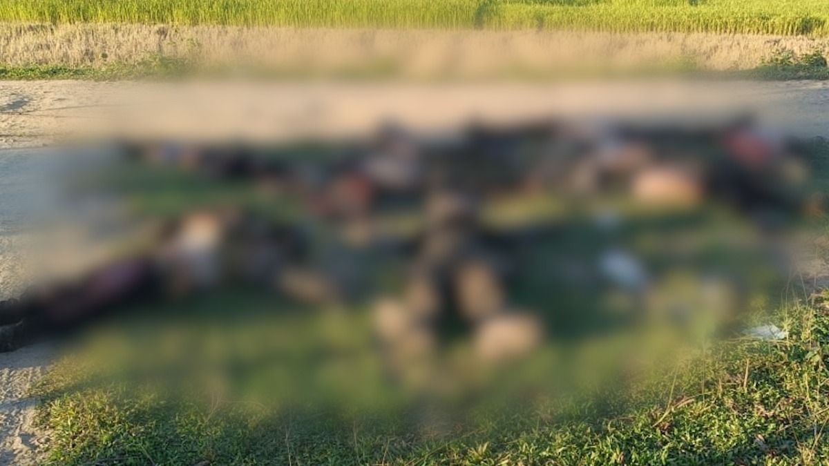 Manipur violence: CRPF personnel,11 armed miscreants killed in Jiribam Manipur violence: CRPF personnel,11 armed miscreants killed in Jiribam