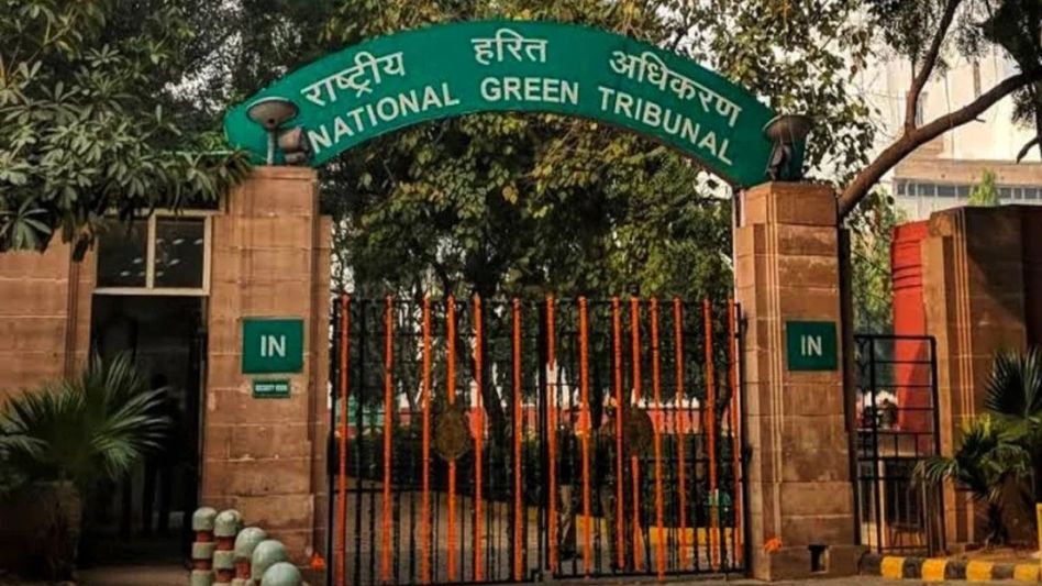 Mizoram: NGT imposes Rs 50,000 fine for not filing compliance report Mizoram: NGT imposes Rs 50,000 fine for not filing compliance report