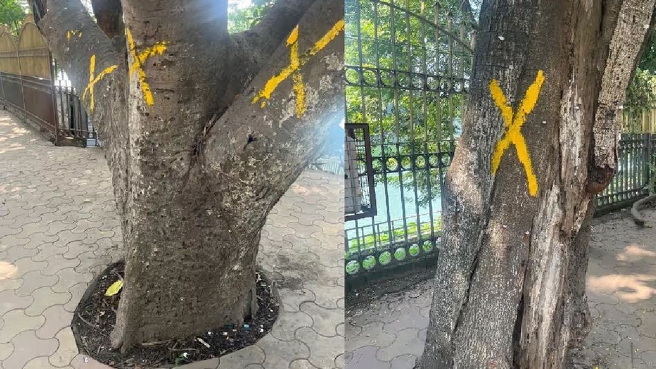 Assam: PWD assures court of zero tree cutting in Dighalipukhuri amidst public outcry Assam: PWD assures court of zero tree cutting in Dighalipukhuri amidst public outcry
