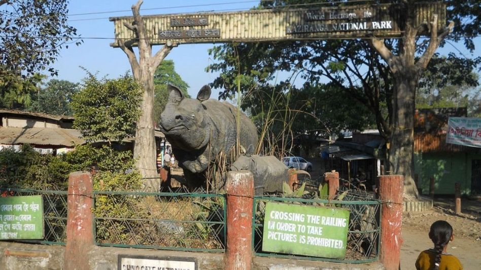 Assam: Kaziranga National Park to be centrepiece of 12th edition of International Tourism Mart Assam: Kaziranga National Park to be centrepiece of 12th edition of International Tourism Mart