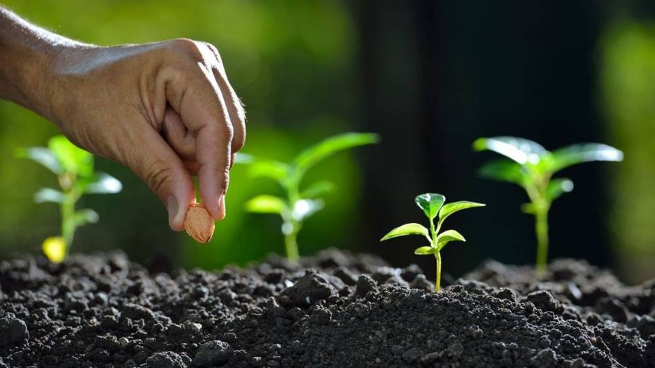 Tripura takes charge of seed certification for Mizoram, Manipur Tripura takes charge of seed certification for Mizoram, Manipur