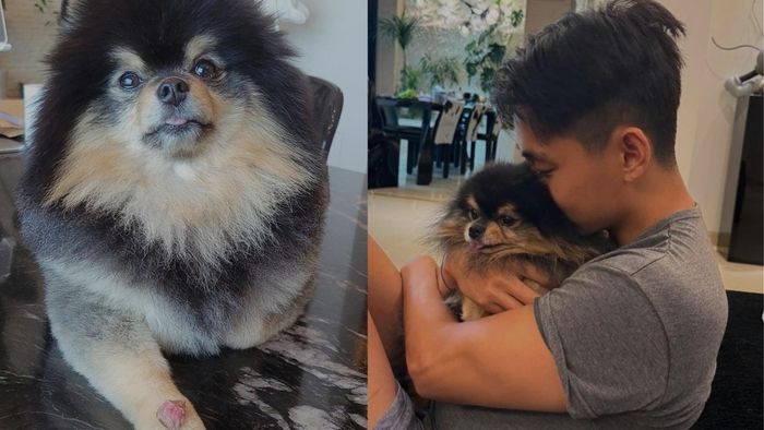 BTS star V mourns passing of beloved pet Yeontan