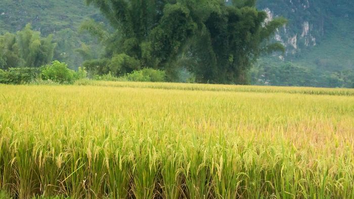 Representational image